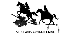 Moslavina challenge Logo
