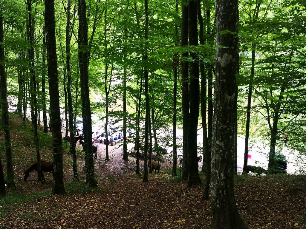 Projahivanje Moslavačkom gorom