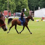 3. kolo Croatia Cup-a u daljinskom jahanju u ŠRC Kukavica