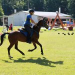 3. kolo Croatia Cup-a u daljinskom jahanju u ŠRC Kukavica