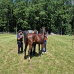 3. kolo Croatia Cup-a u daljinskom jahanju u ŠRC Kukavica