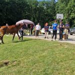 3. kolo Croatia Cup-a u daljinskom jahanju u ŠRC Kukavica