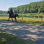 2. mjesto na 5.kolu Croatia Cup-a u Bilju