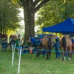 6.⁠ ⁠Kolo Croatia Cup-a Čazma.