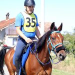 Vukosavljevica, Moslavina Challenge, Croatia Cup