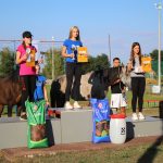 Vukosavljevica, Moslavina Challenge, Croatia Cup
