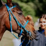 3.kolo Croatia Cup-a u daljinskom jahanju SRC Kukavica