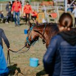 3.kolo Croatia Cup-a u daljinskom jahanju SRC Kukavica