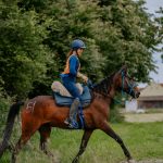 3.kolo Croatia Cup-a u daljinskom jahanju SRC Kukavica